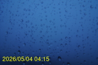 Img20260504_041544.jpg