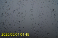 Img20260504_044544.jpg