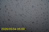 Img20260504_050044.jpg