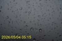 Img20260504_051544.jpg