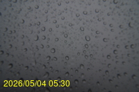 Img20260504_053044.jpg