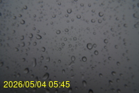 Img20260504_054544.jpg