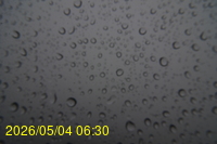 Img20260504_063044.jpg