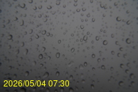 Img20260504_073045.jpg