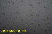 Img20260504_074545.jpg