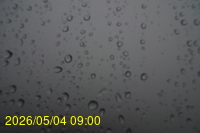 Img20260504_090045.jpg
