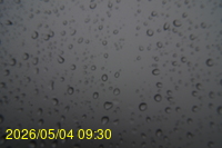 Img20260504_093045.jpg