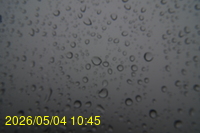 Img20260504_104545.jpg