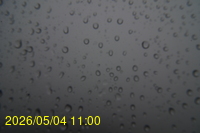 Img20260504_110045.jpg