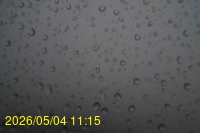 Img20260504_111545.jpg