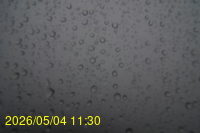 Img20260504_113045.jpg