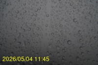 Img20260504_114545.jpg