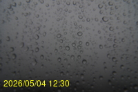Img20260504_123045.jpg