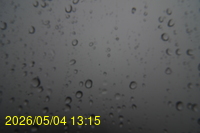 Img20260504_131545.jpg