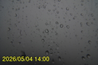 Img20260504_140045.jpg