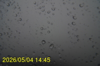 Img20260504_144546.jpg