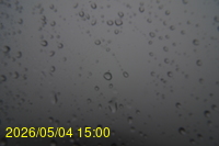 Img20260504_150045.jpg