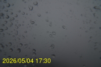 Img20260504_173046.jpg