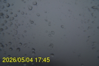 Img20260504_174546.jpg