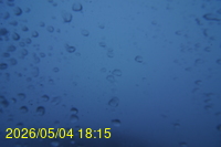 Img20260504_181546.jpg
