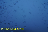 Img20260504_183046.jpg