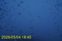Img20260504_184546.jpg