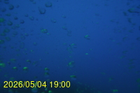 Img20260504_190046.jpg