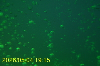 Img20260504_191546.jpg