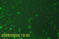 Img20260504_193046.jpg