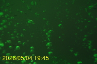 Img20260504_194546.jpg