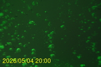 Img20260504_200046.jpg
