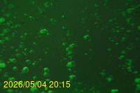Img20260504_201546.jpg