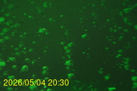 Img20260504_203046.jpg