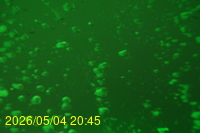 Img20260504_204546.jpg