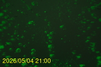 Img20260504_210046.jpg