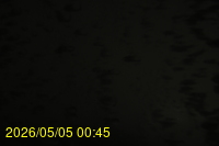 Img20260505_004547.jpg