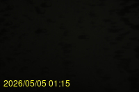 Img20260505_011547.jpg