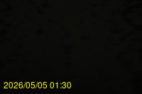 Img20260505_013047.jpg