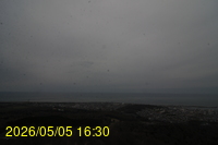 Img20260505_163049.jpg