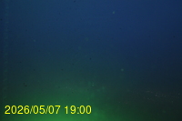 Img20260507_190056.jpg