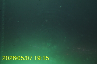 Img20260507_191556.jpg