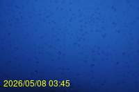 Img20260508_034557.jpg