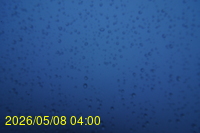 Img20260508_040057.jpg
