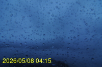 Img20260508_041557.jpg