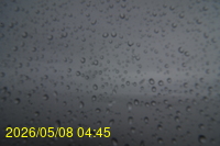 Img20260508_044557.jpg