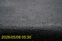 Img20260508_053057.jpg