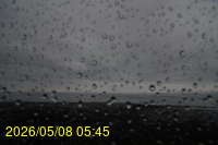 Img20260508_054558.jpg