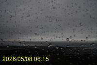 Img20260508_061558.jpg