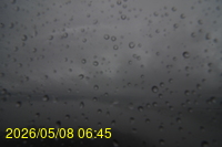 Img20260508_064558.jpg