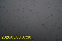 Img20260508_073058.jpg